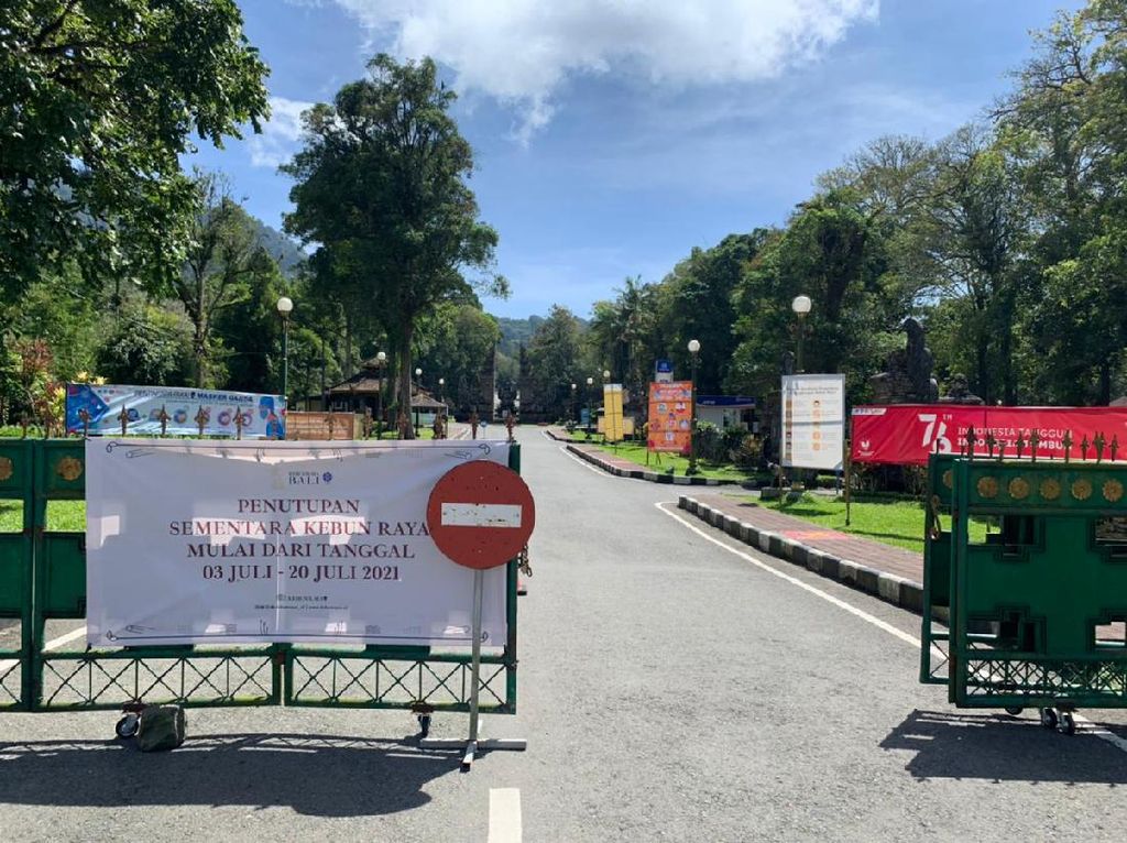 Ulang Tahun Ke-62, Kebun Raya Eka Karya Bali Gelar Wisata Virtual